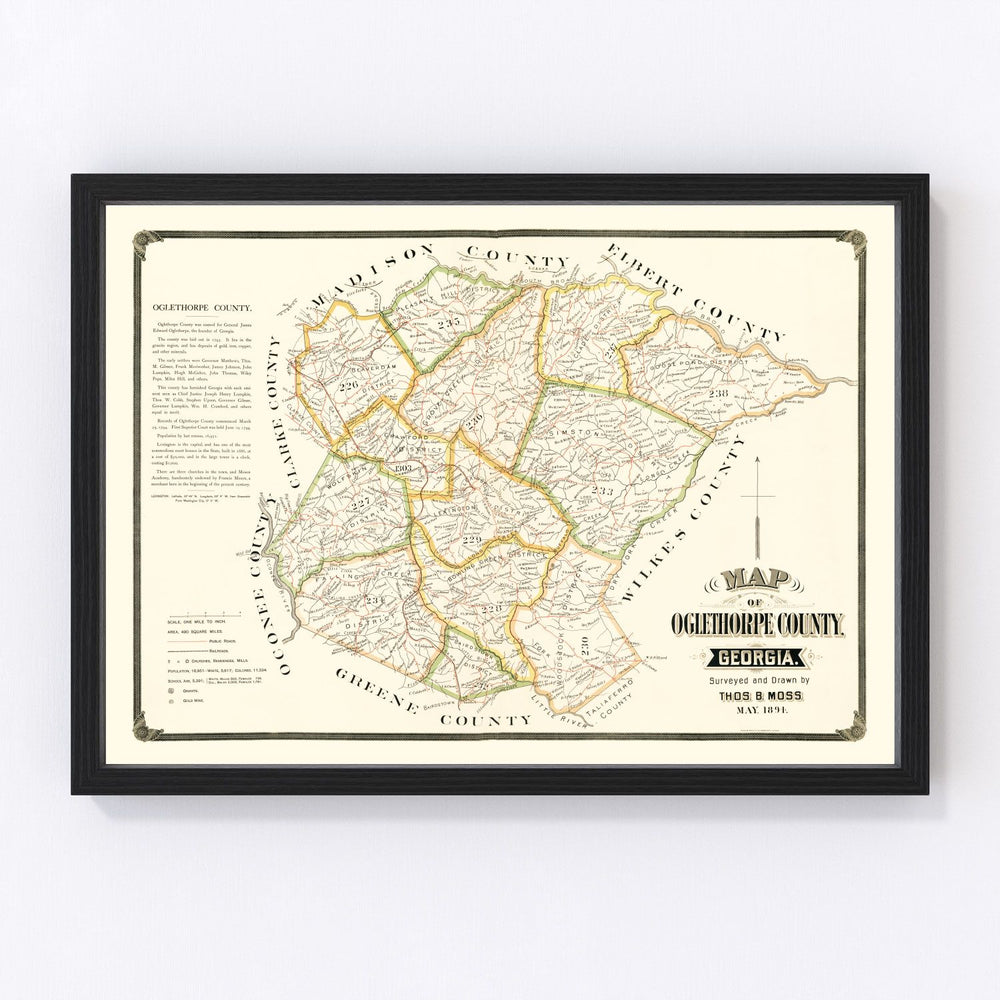 Oglethorpe County Vintage Map 1894