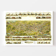 map of Webster