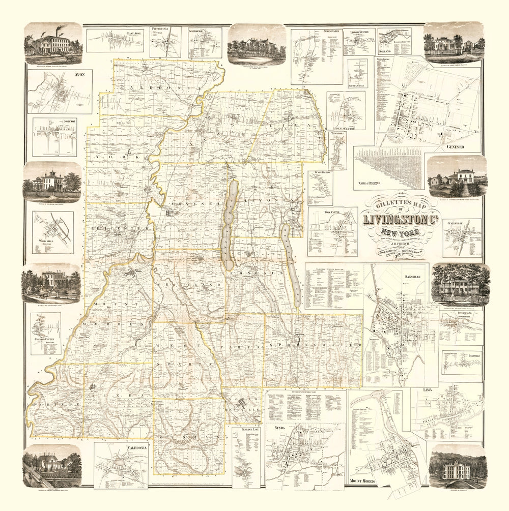 Vintage Map of Livingston County, New York 1858 print style example