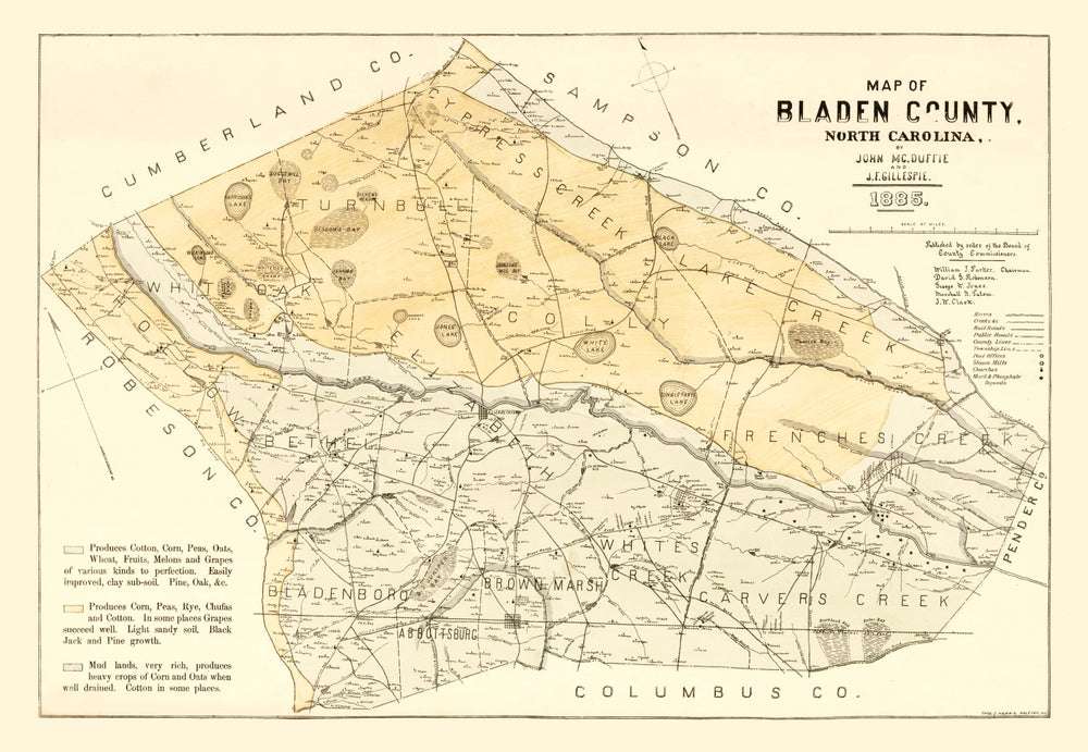 Vintage Map of Bladen County, North Carolina 1885 print style example