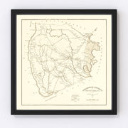 Darlington County Vintage Map 1825
