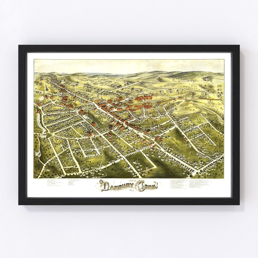 Danbury Vintage Map 1875