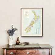 New Zealand art