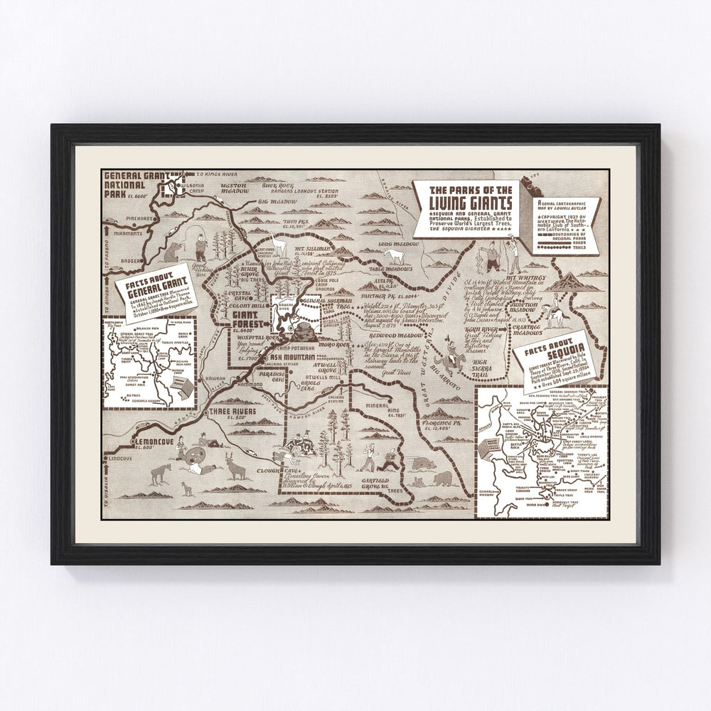 Sequoia & General Grant National Park Vintage Map 1937