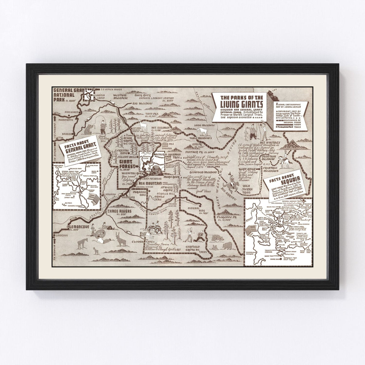Sequoia & General Grant National Park Vintage Map 1937