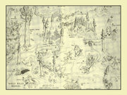 Sequoia history
