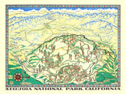 Sequoia history