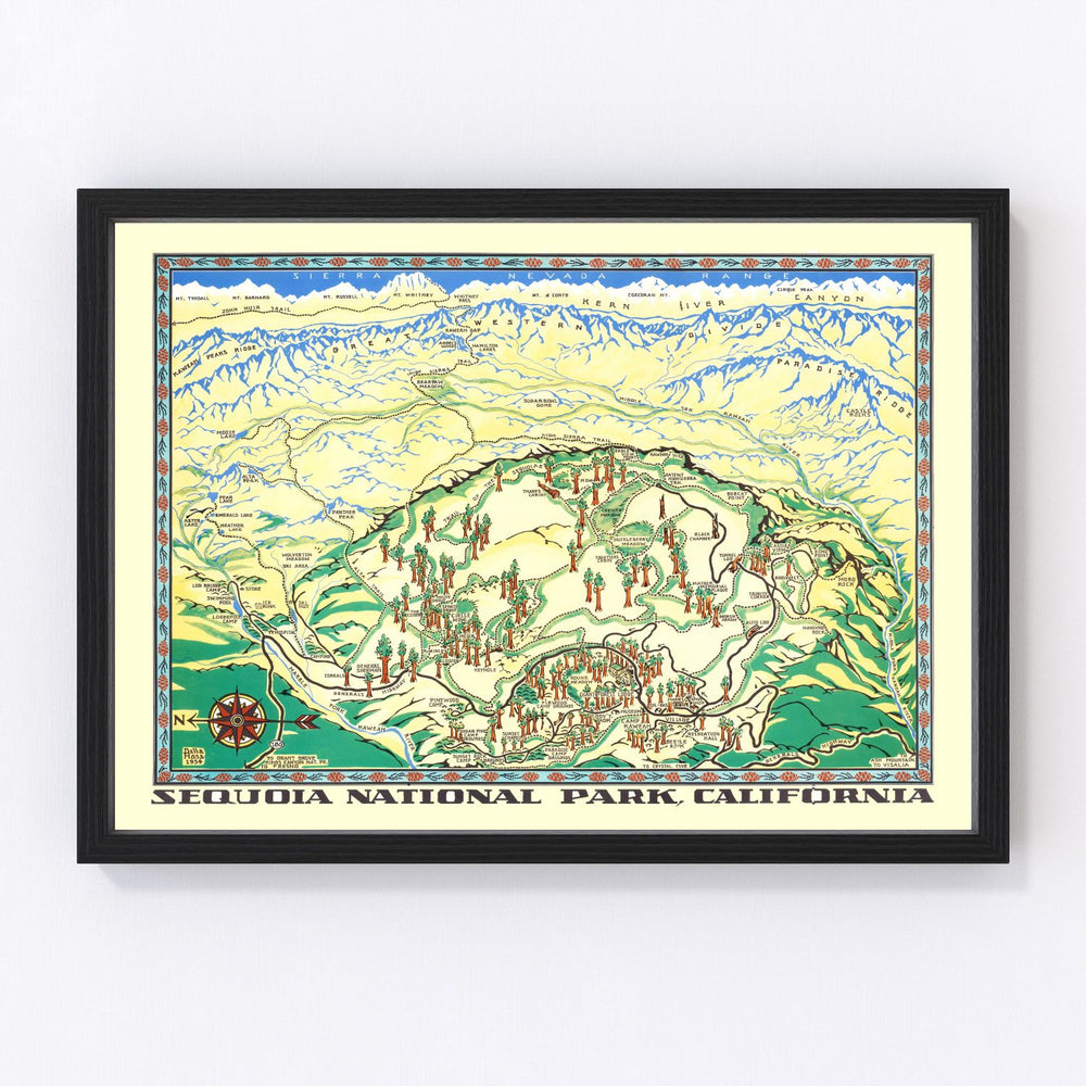 Sequoia National Park Vintage Map 1954