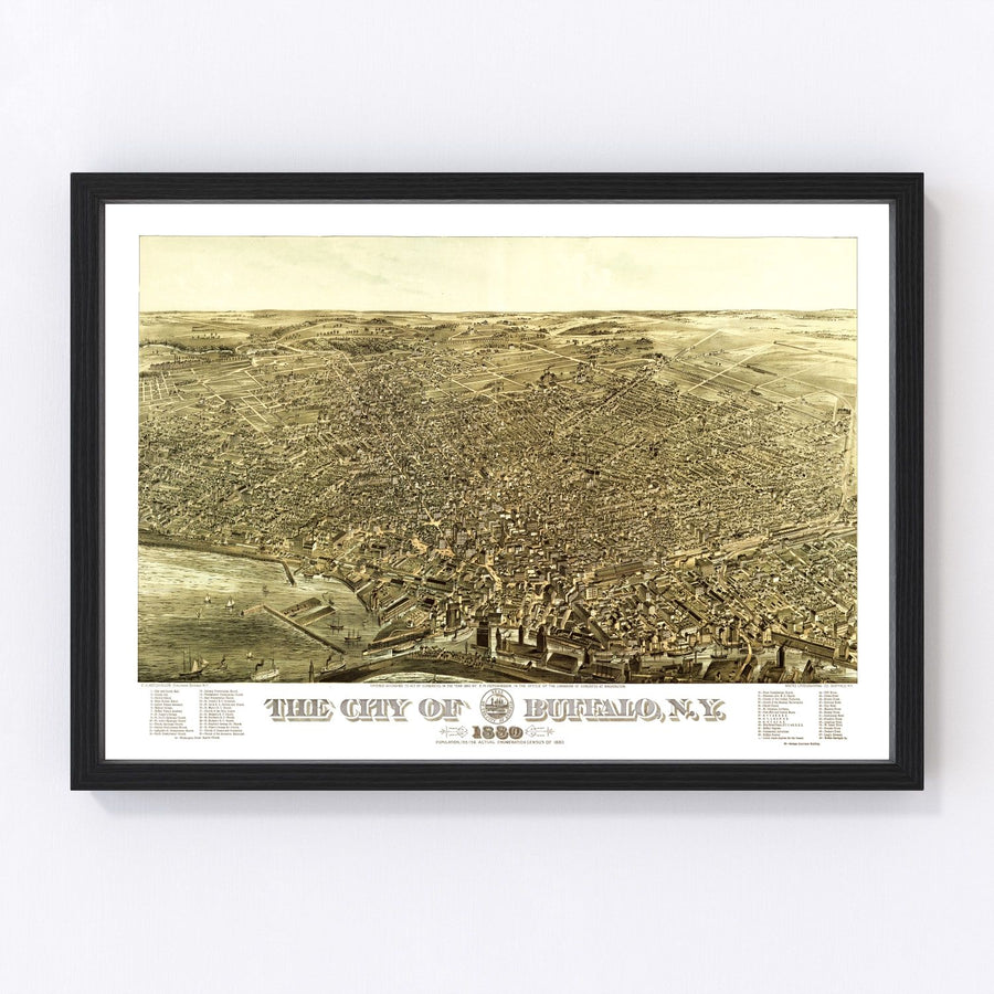 Buffalo Vintage Map 1880