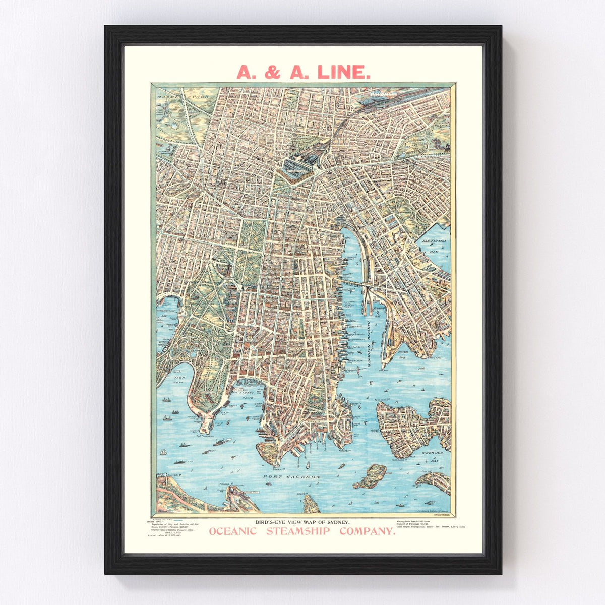 Sydney Vintage Map 1902