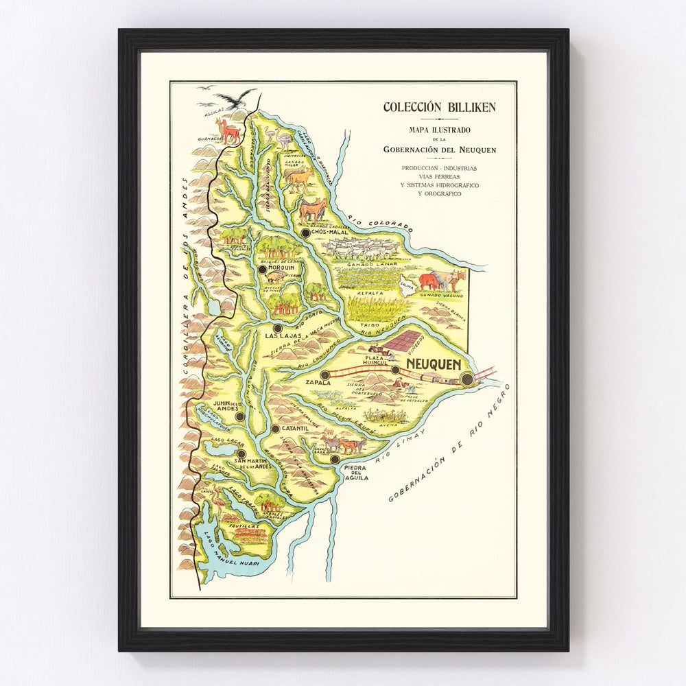 Neuquen Vintage Map 1933