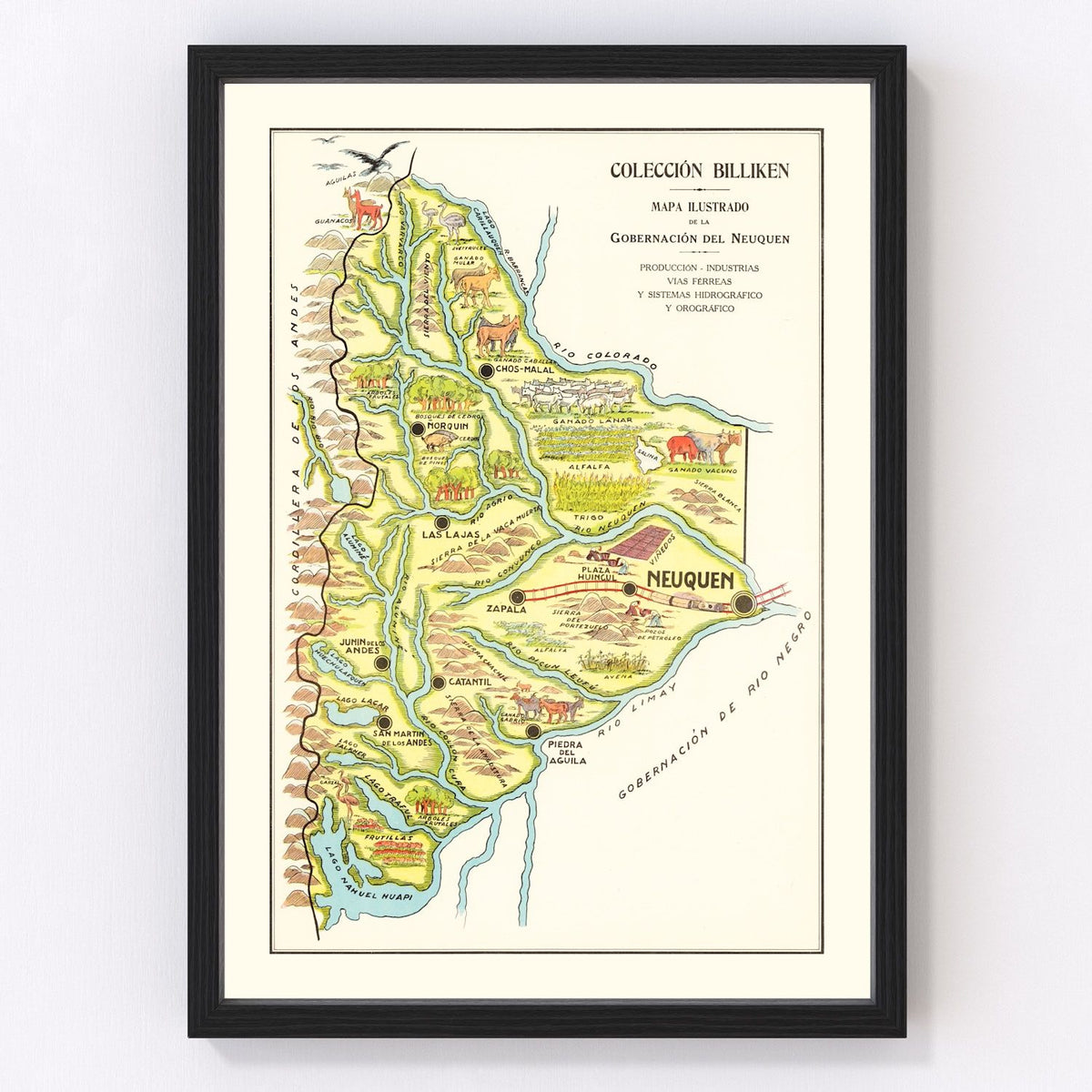Neuquen Vintage Map 1933
