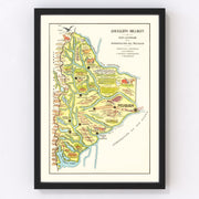 Neuquen Vintage Map 1933