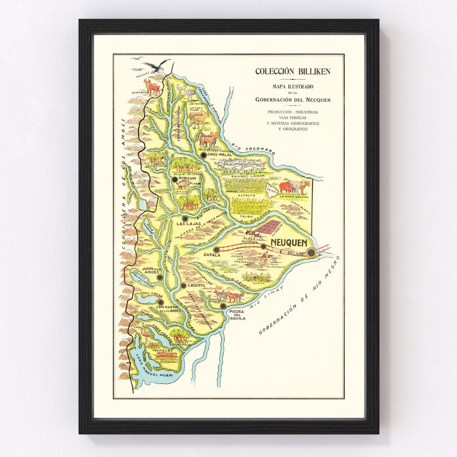 Neuquen Vintage Map 1933