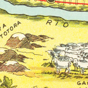 old Rio Negro map