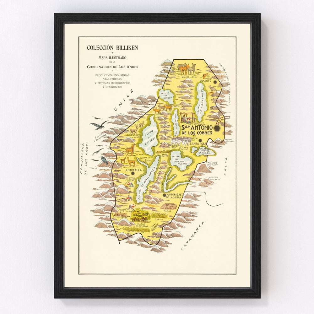 Andes Mountains Vintage Map 1933