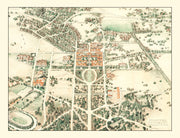 Stanford University 