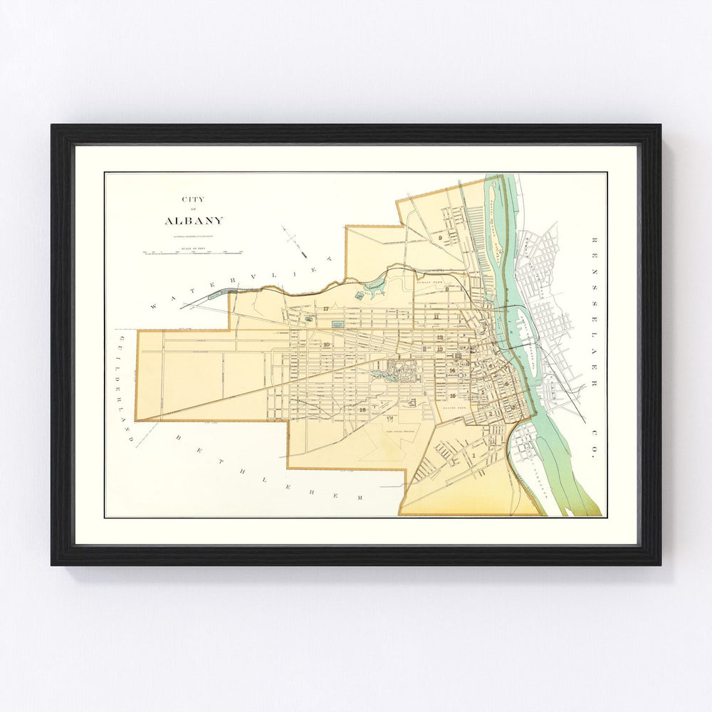 Albany Vintage Map 1895