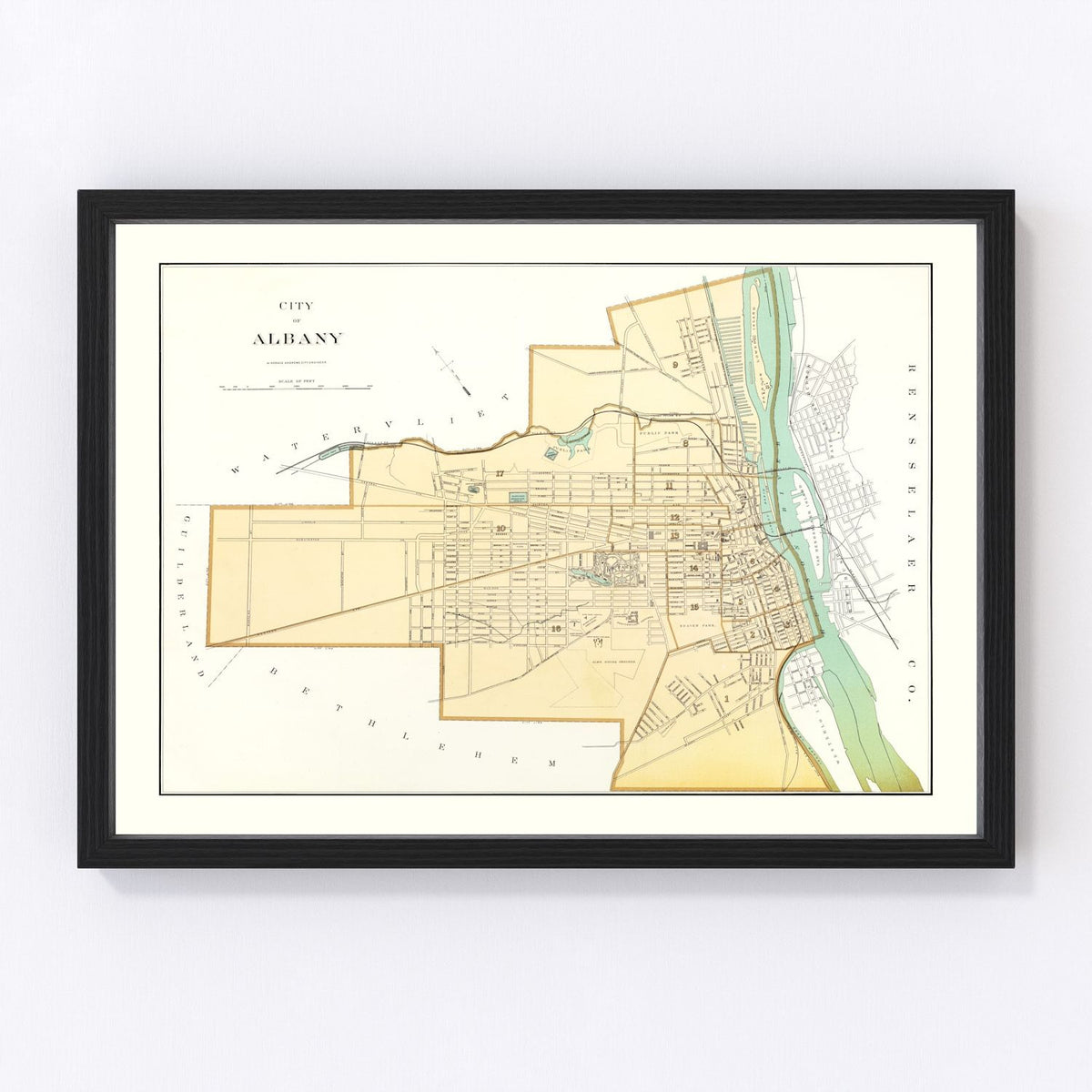Albany Vintage Map 1895