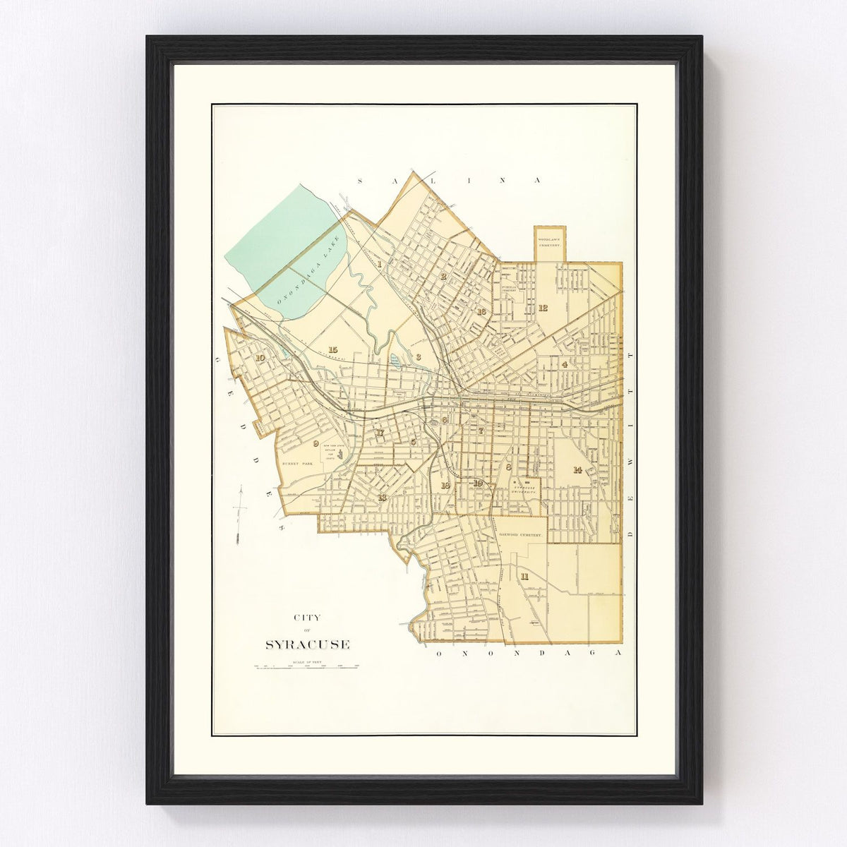Syracuse Vintage Map 1895
