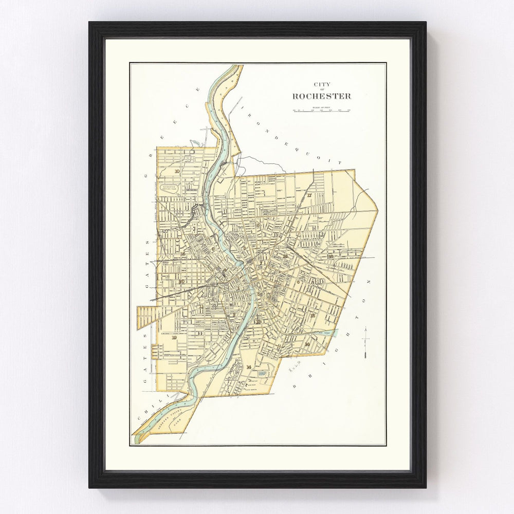 Rochester Vintage Map 1895