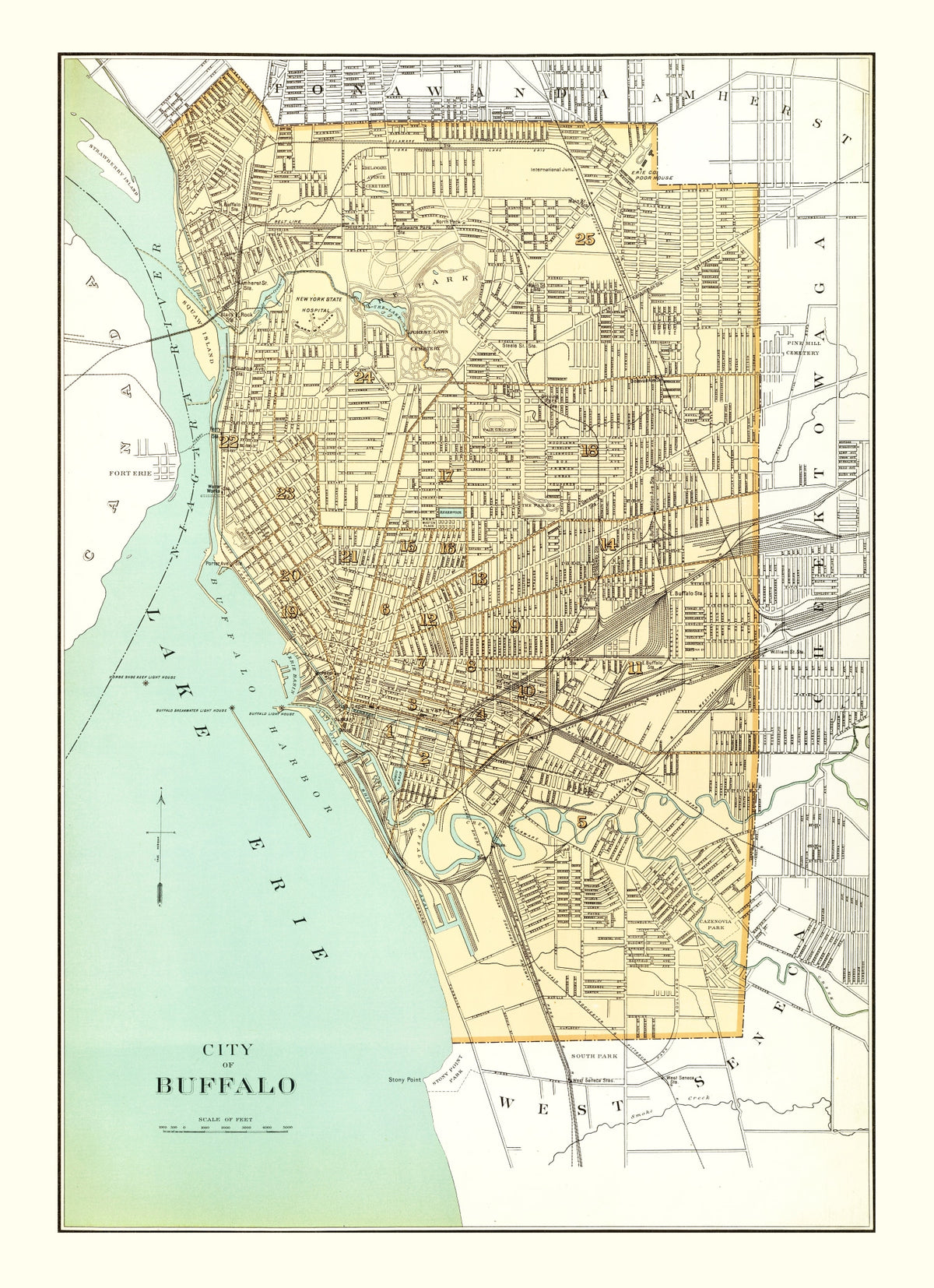 Preview of Vintage Map of Buffalo, New York 1895