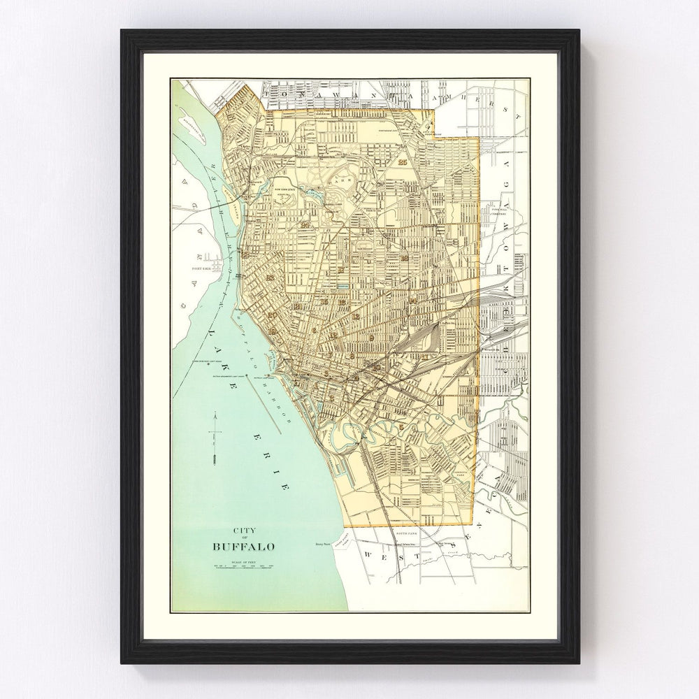 Buffalo Vintage Map 1895
