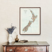 New Zealand art