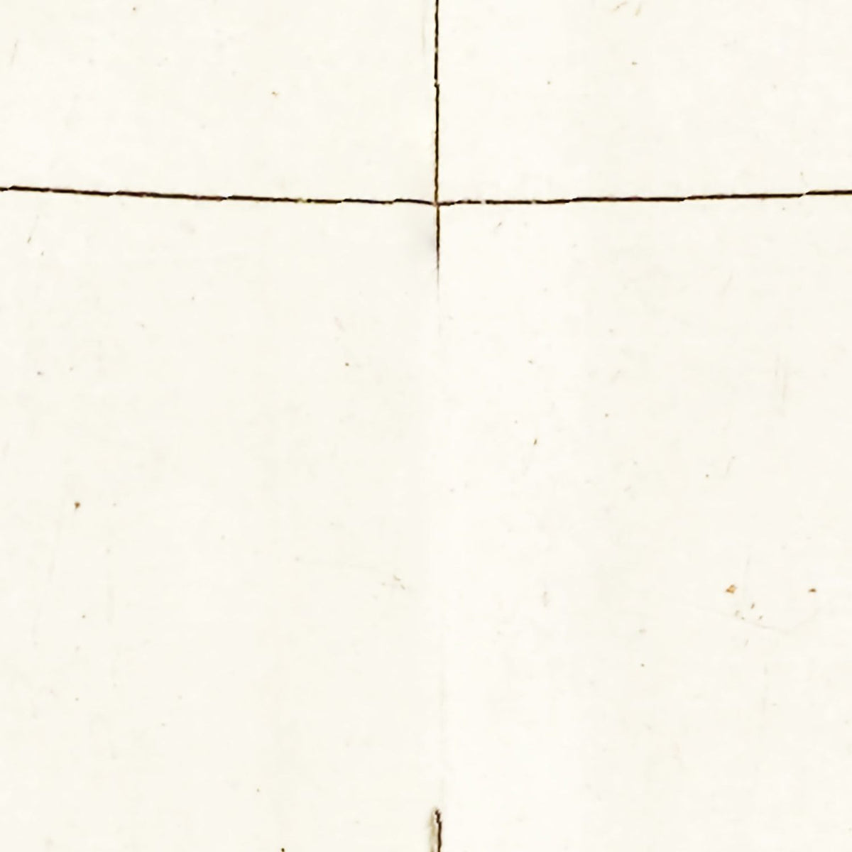 Restored historic details from the 1665 region map of County