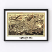 Ithaca Vintage Map 1882