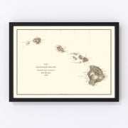 Hawaii Vintage Map 1845
