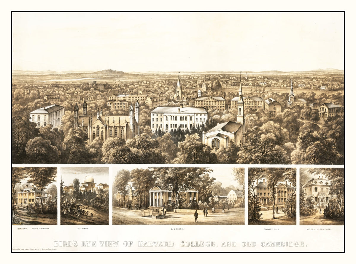 Preview of Vintage Bird's Eye View of Harvard 1858