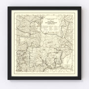 Columbia National Forest Vintage Map 1913