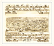 Auburn history