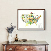 United States art