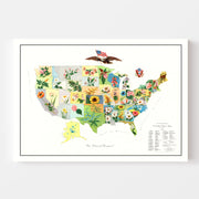 map of United States