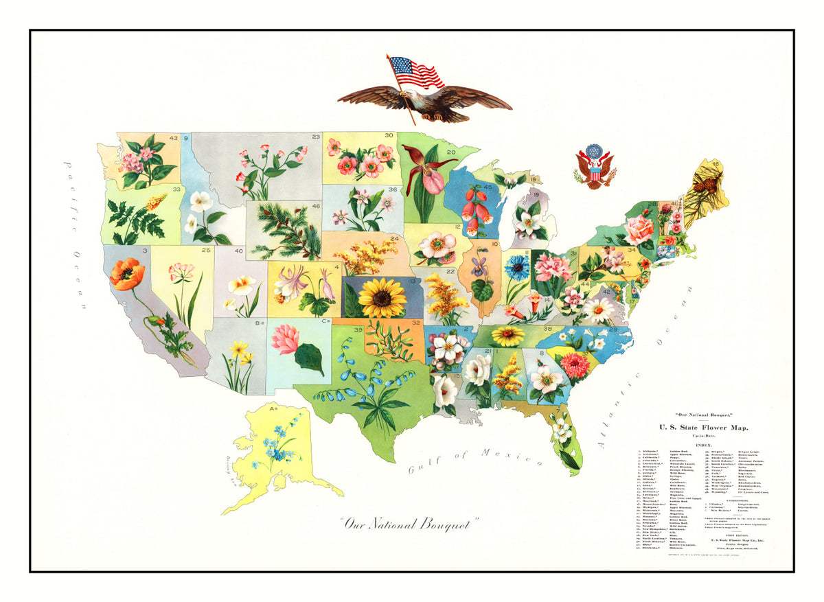 Preview of Vintage United States Flower Map, 1911