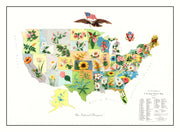 United States histor
