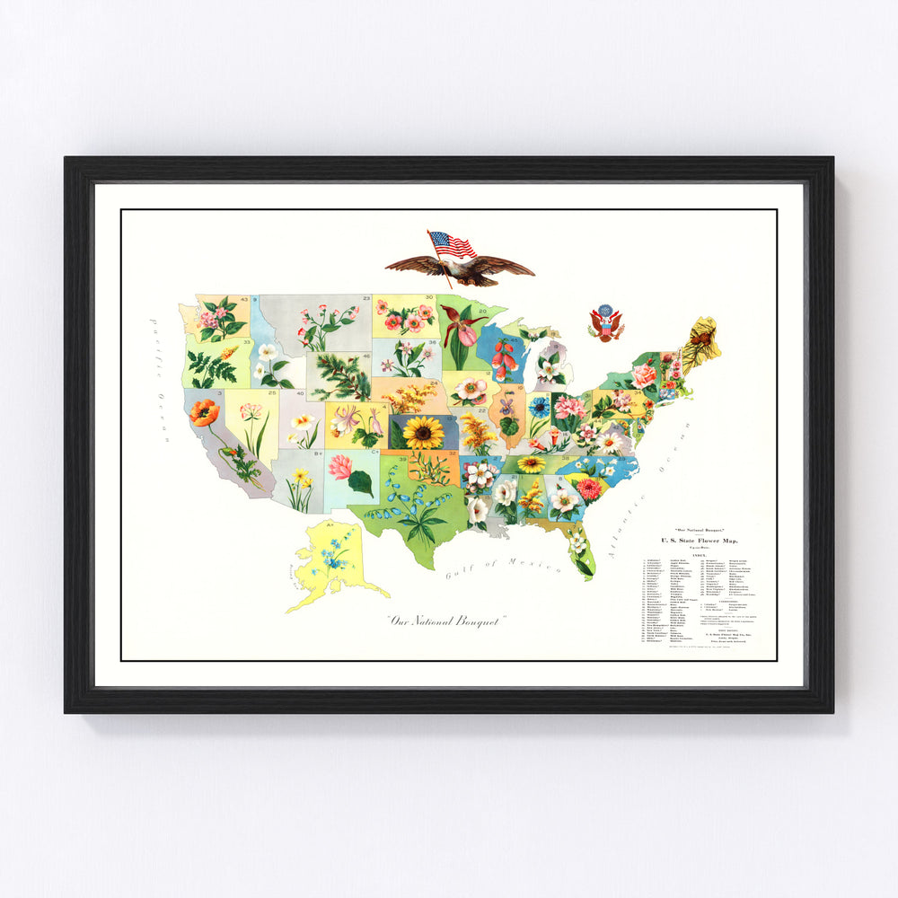 United States Vintage Map 1911