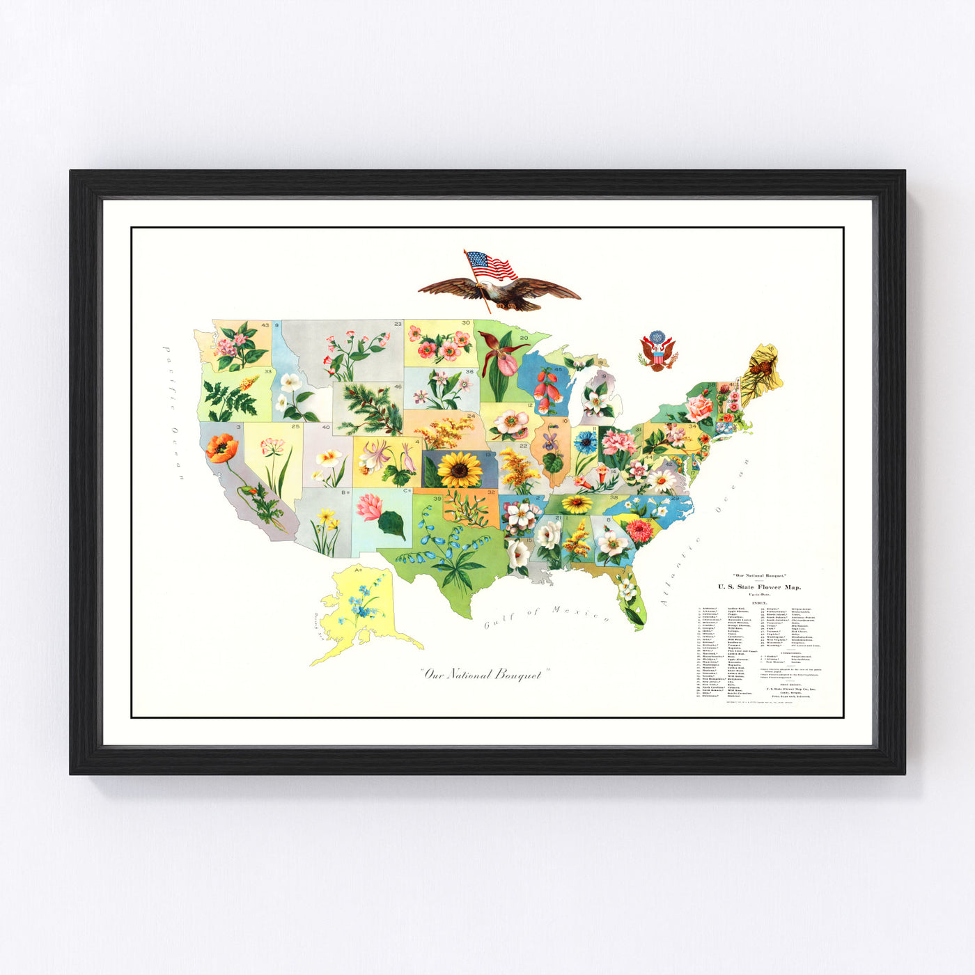 United States Vintage Map 1911