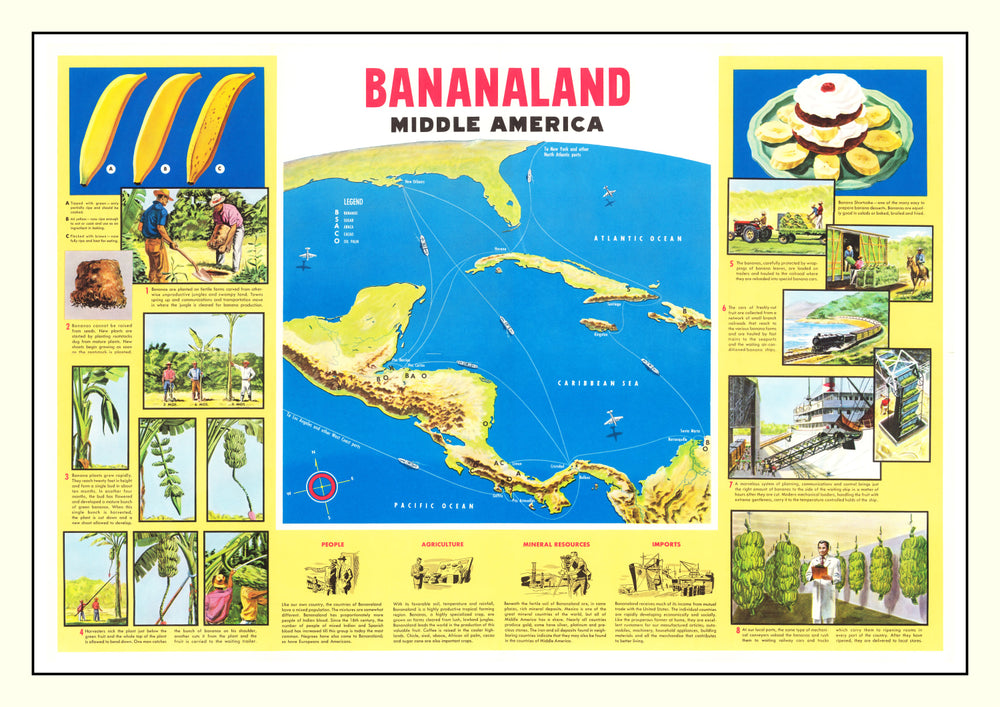 Vintage Map of Bananaland, 1958 print style example