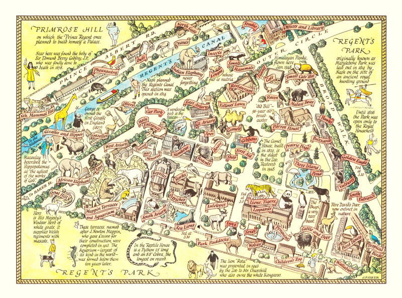Size comparison using Vintage Map of Zoological Gardens Regent Park, 1947