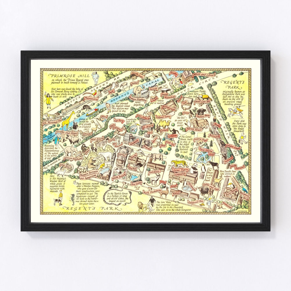 Zoological Gardens Regent Park Vintage Map 1947