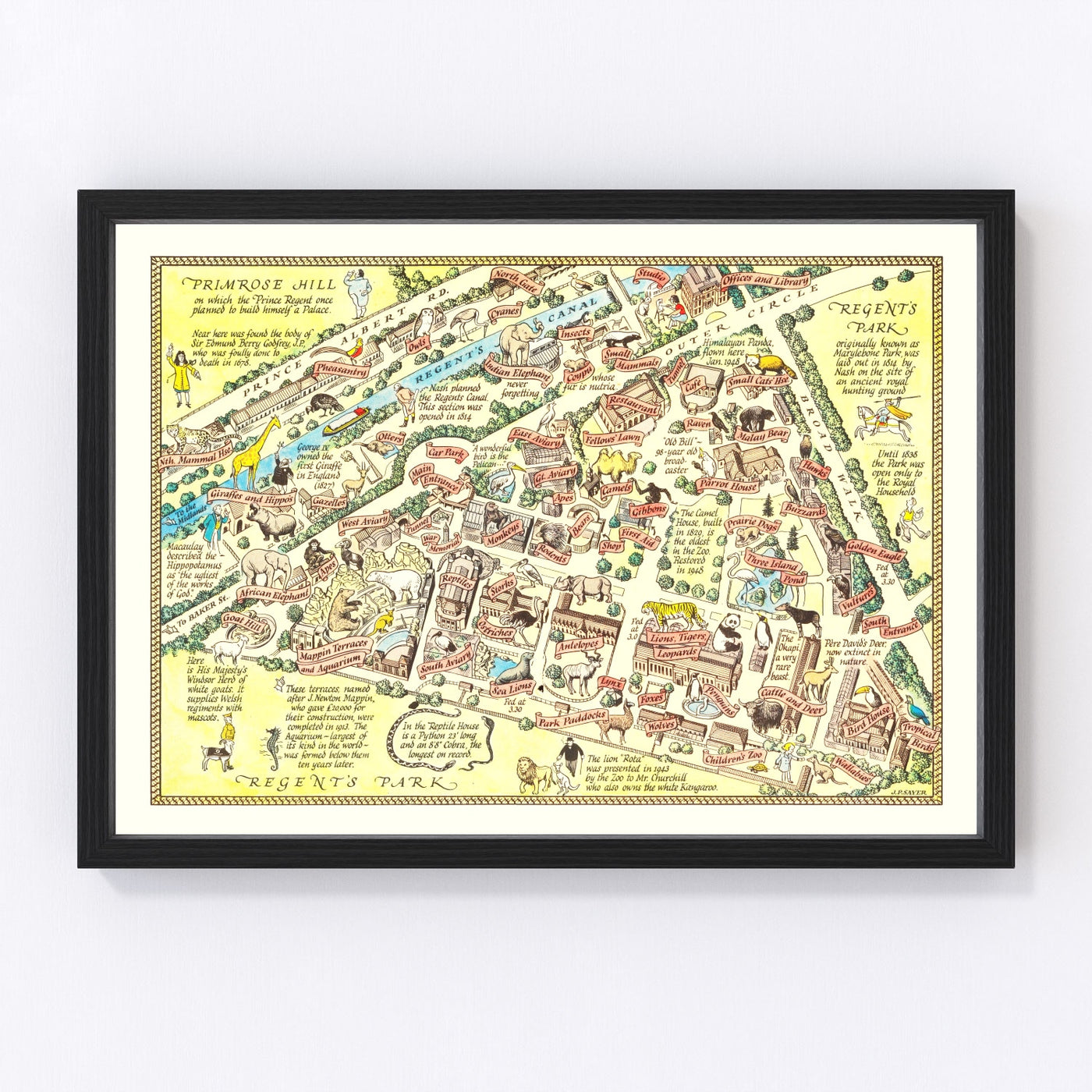 Zoological Gardens Regent Park Vintage Map 1947