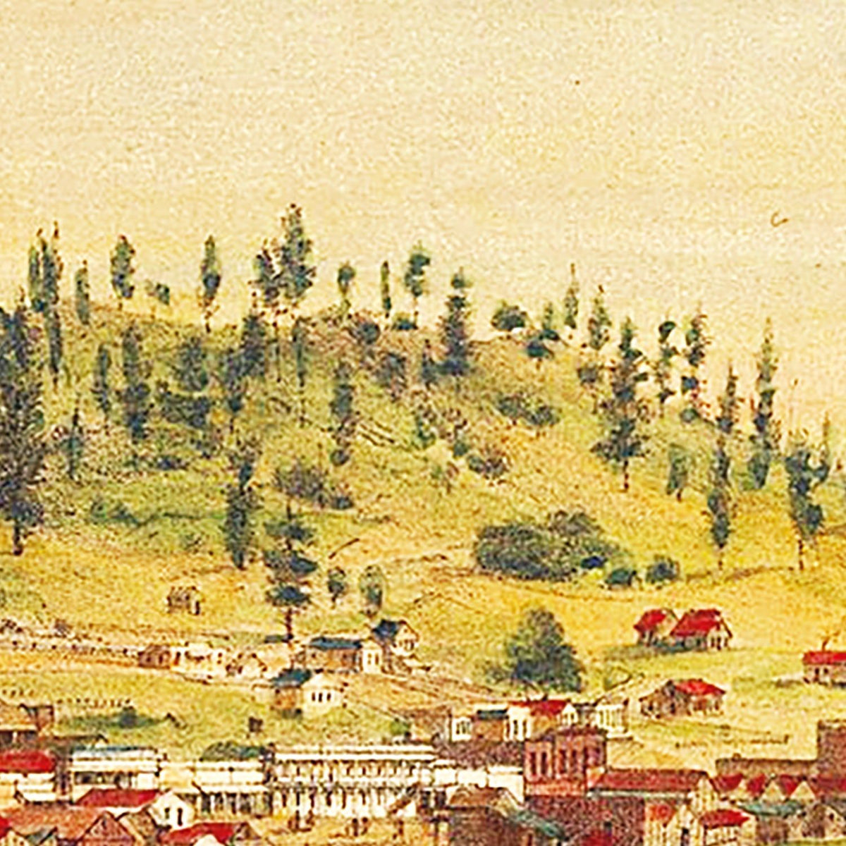 Restored historic details from the 1856 city map of Shasta, California