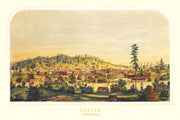 Shasta history