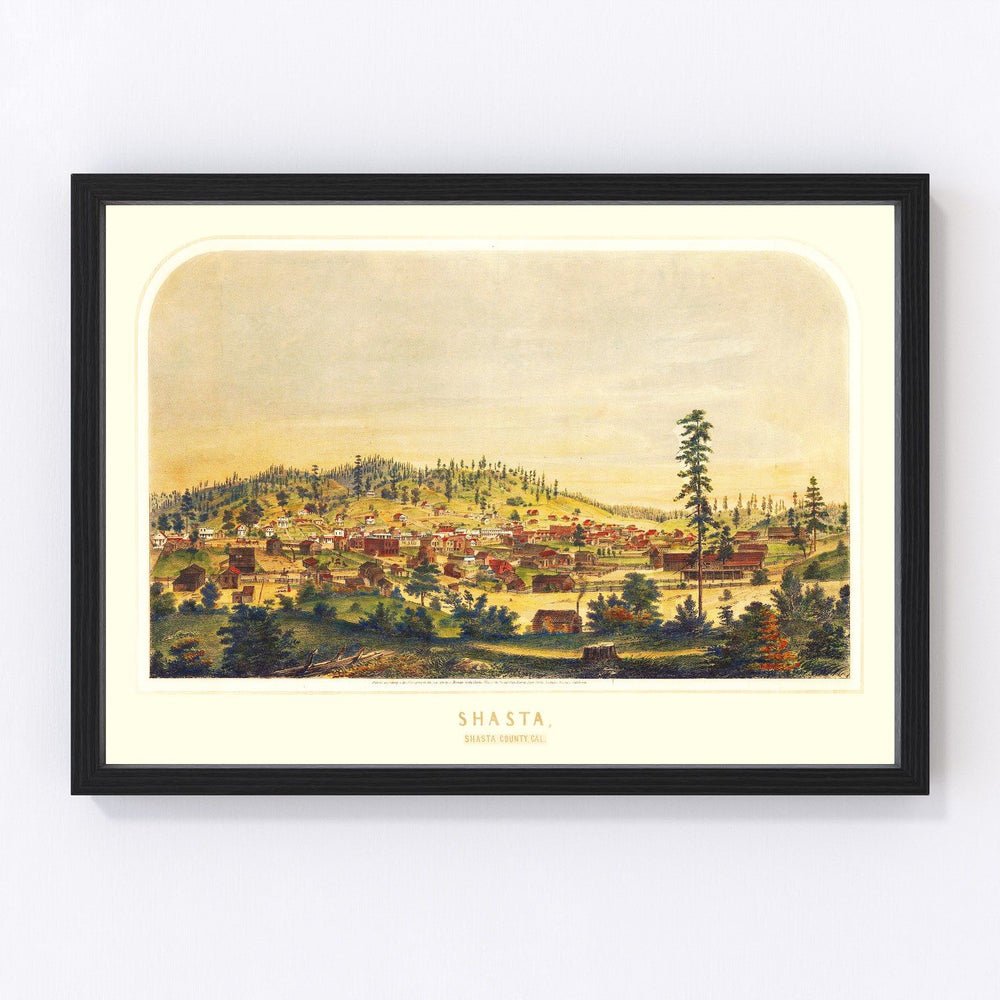 Shasta Vintage Map 1856