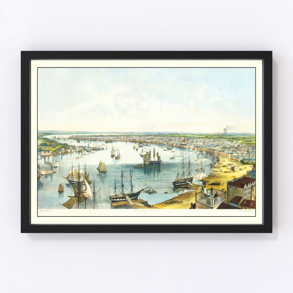 New Orleans Vintage Map 1852