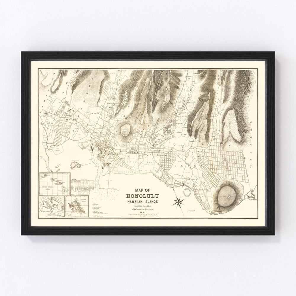 Honolulu Vintage Map 1901