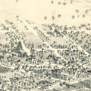 Vintage Map of Santa Rosa, California 1885